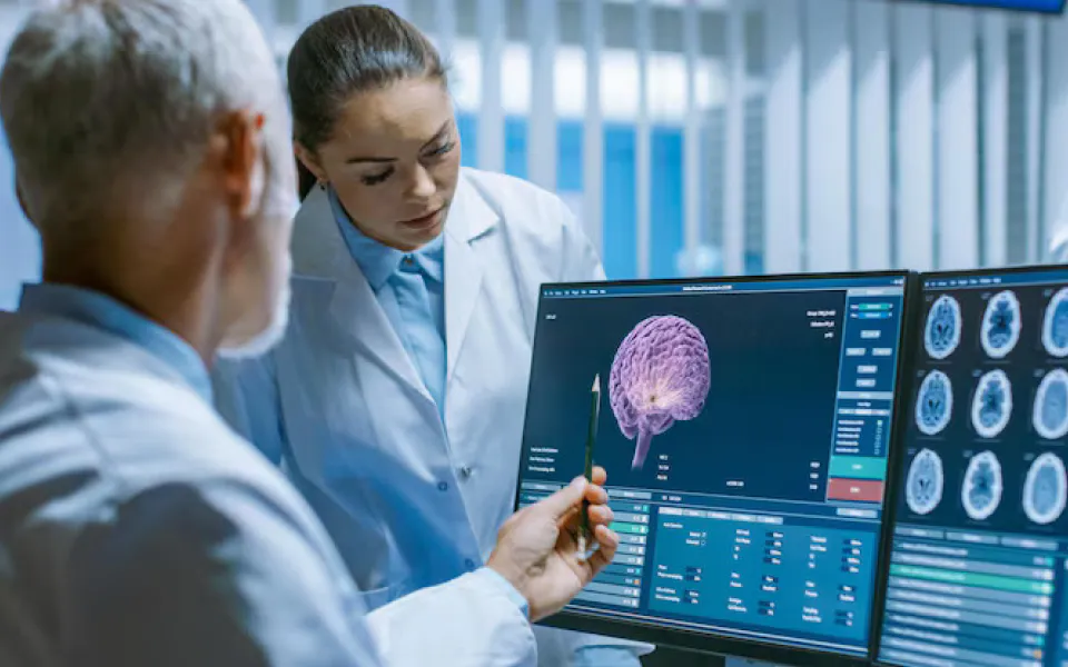 Senior doctor pointing pen at brain scan on PC monitor while female doctor observes closely.
