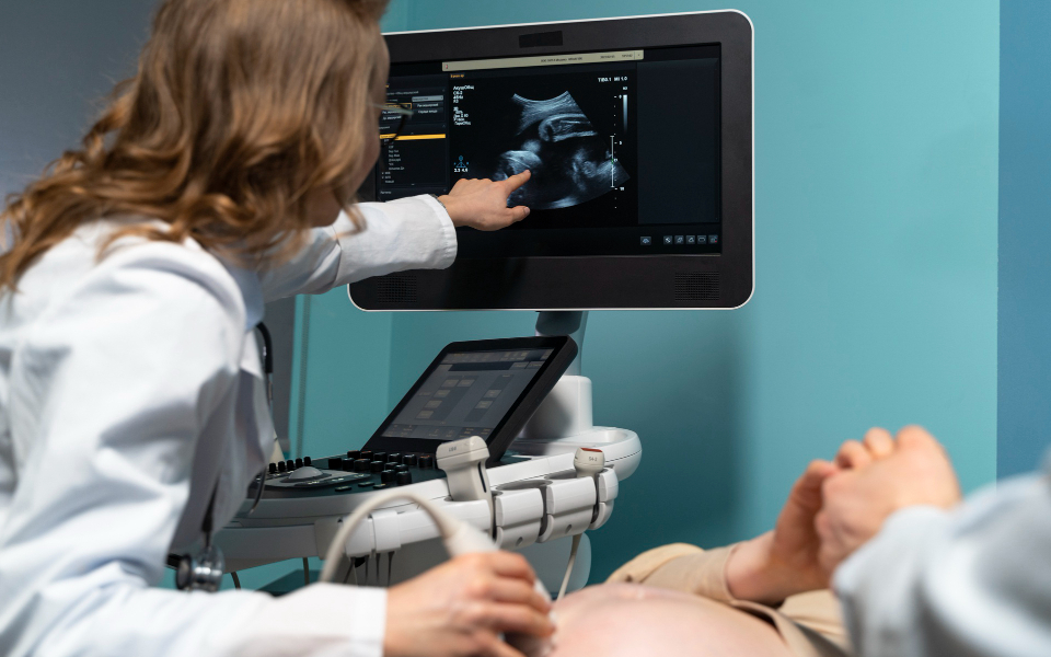 Female doctor pointing at a screen displaying live ultrasound images using Scriptoware's real-time imaging system