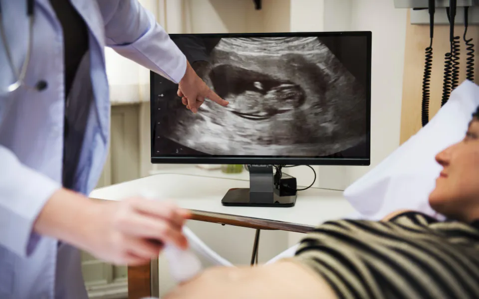 Female doctor holding ultrasound probe near patient’s belly, pointing to live ultrasound results on screen.